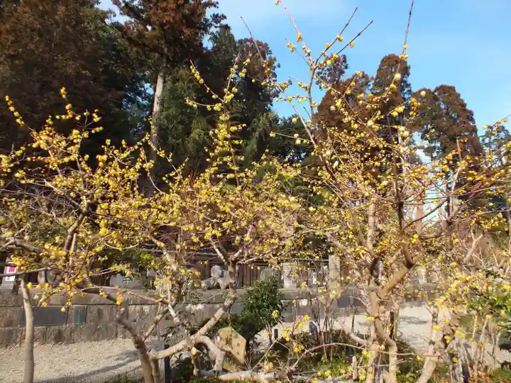 沙沙貴神社のその他建物