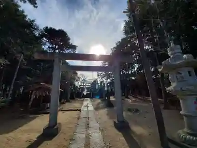 椿ノ海 水神社の鳥居