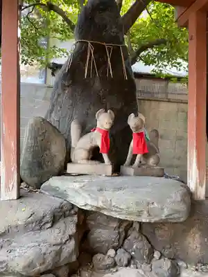 武信稲荷神社の狛犬