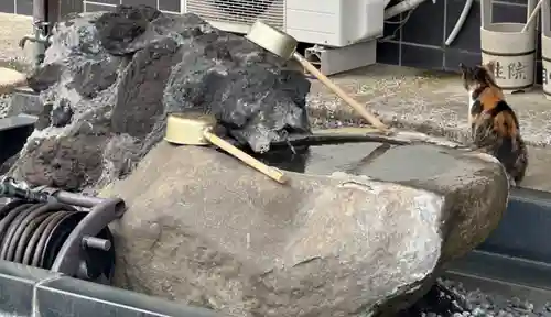 大久保山 自性院(神奈川県)