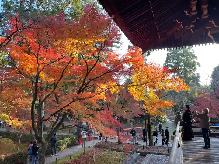 真正極楽寺(真如堂)(京都府)