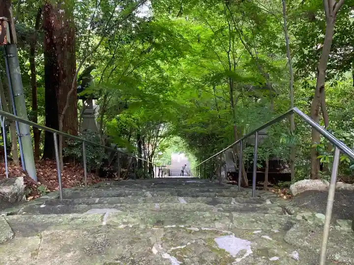 松尾八幡宮の{uncategorized: "未分類", other: "その他", undefined: "問題あり", building: "その他建物", grave: "お墓", sacred_gate: "鳥居", guardian: "狛犬", statue: "像", buddha: "仏像", history: "歴史", nature: "自然", garden: "庭園", animal: "動物", pagoda: "塔", temizu: "手水舎", mountain_gate: "山門・神門", sanctuary: "本殿・本堂", subordinate: "末社・摂社", art: "芸術", scenery: "景色", jizo: "地蔵", ema: "絵馬", goshuin: "御朱印", omikuji: "おみくじ", items: "授与品その他", amulet: "お守り", goshuincho: "御朱印帳", eats: "食事", festival: "お祭り", votive_dance: "神楽", shichigosan: "七五三参", wedding: "結婚式", experience: "体験その他", initially: "初詣", around: "周辺", anti_infection: "感染症対策"}