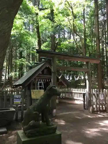 宝登山神社奥宮の狛犬