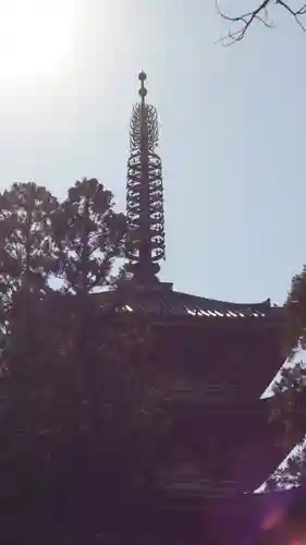 醍醐寺(京都府)