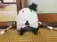 きしこさんのプロフィール画像