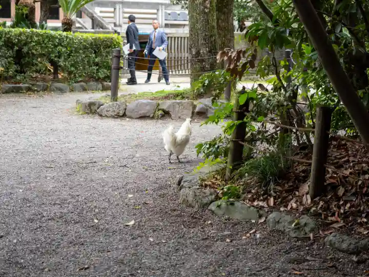 熱田神宮(愛知県)