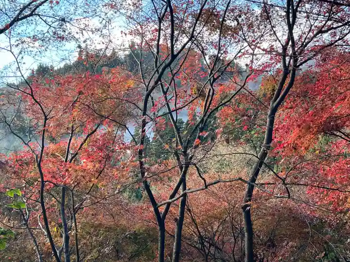 武蔵御嶽神社(東京都)