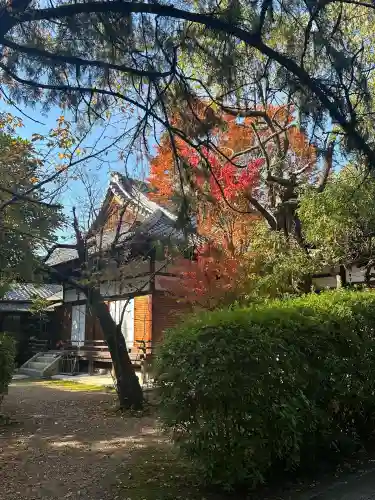 御霊神社（上御霊神社）(京都府)