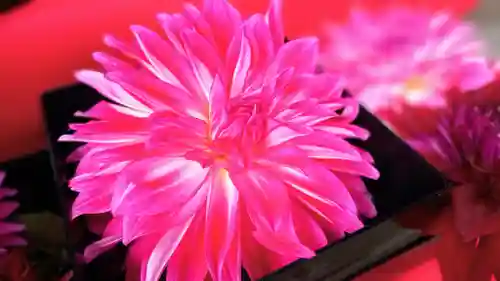 阿邪訶根神社(福島県)