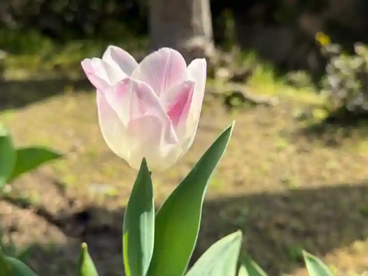 西方山極楽寺(岐阜県)