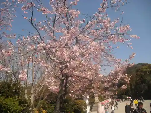 鶴岡八幡宮の自然