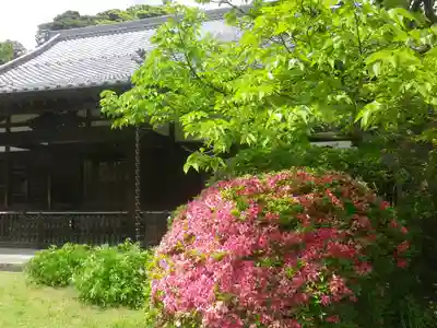 浄光明寺のその他建物