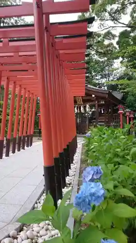 辛國神社の鳥居