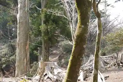 玉置神社(奈良県)