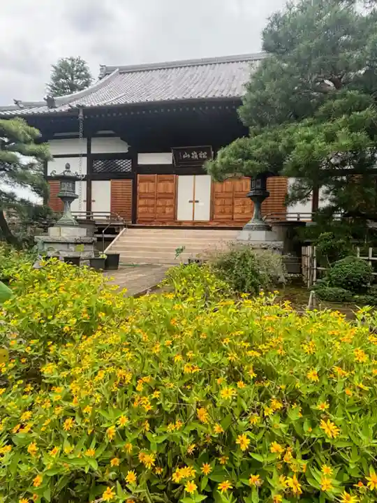 報恩寺(栃木県)