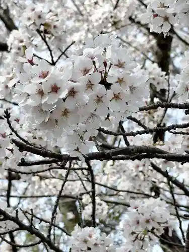 大覚寺(滋賀県)