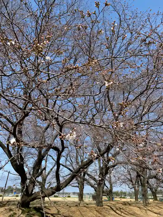 東蕗田天満社の自然