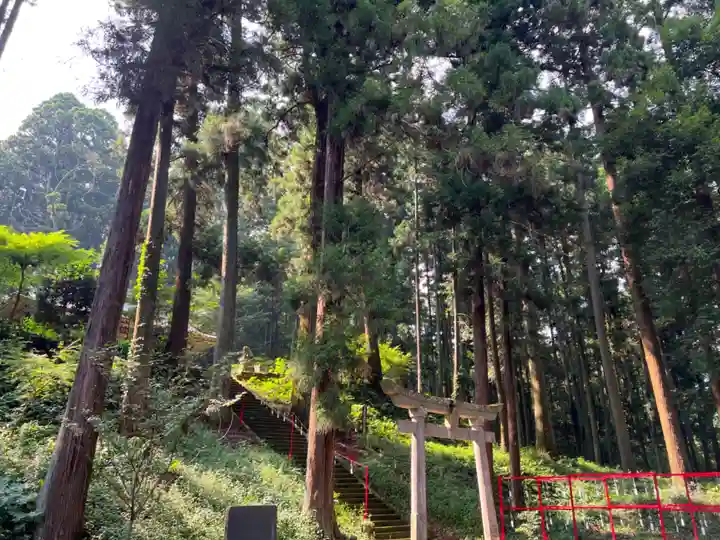 大宮温泉神社の鳥居