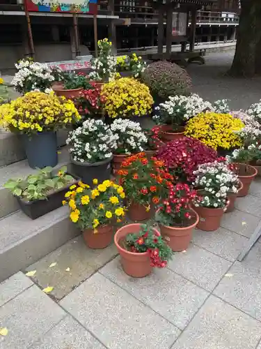 平塚八幡宮(神奈川県)