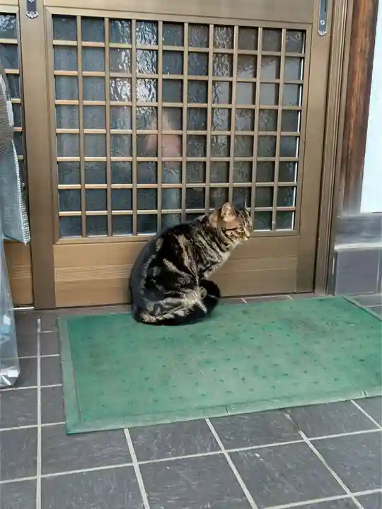 白山神社(東京都)