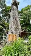 吉祥草寺(奈良県)