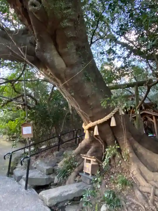 八大龍王水神(宮崎県)