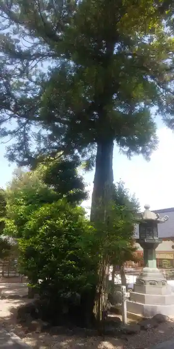 針名神社の自然
