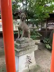 九所御霊天神社の狛犬