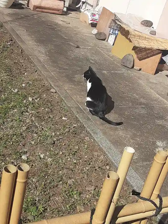 白金氷川神社(東京都)