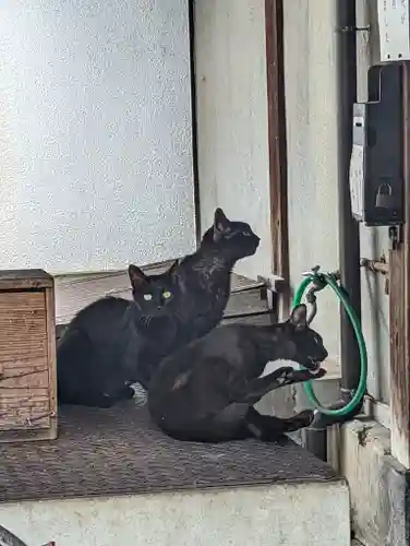 頂妙寺(京都府)