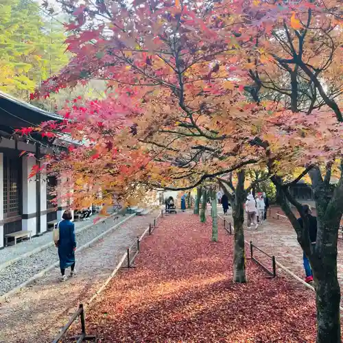 鉾立山天王院(福岡県)