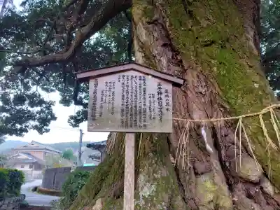 王子神社の{uncategorized: "未分類", other: "その他", undefined: "問題あり", building: "その他建物", grave: "お墓", sacred_gate: "鳥居", guardian: "狛犬", statue: "像", buddha: "仏像", history: "歴史", nature: "自然", garden: "庭園", animal: "動物", pagoda: "塔", temizu: "手水舎", mountain_gate: "山門・神門", sanctuary: "本殿・本堂", subordinate: "末社・摂社", art: "芸術", scenery: "景色", jizo: "地蔵", ema: "絵馬", goshuin: "御朱印", omikuji: "おみくじ", items: "授与品その他", amulet: "お守り", goshuincho: "御朱印帳", eats: "食事", festival: "お祭り", votive_dance: "神楽", shichigosan: "七五三参", wedding: "結婚式", experience: "体験その他", initially: "初詣", around: "周辺", anti_infection: "感染症対策"}