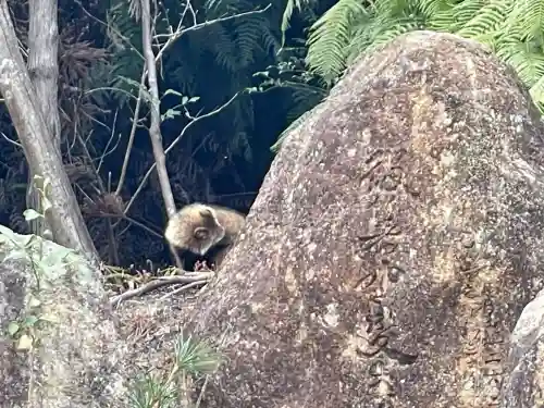 東光寺(出世不動明王)(滋賀県)
