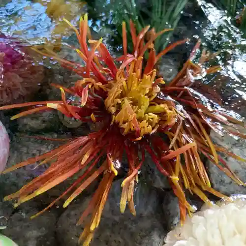 滑川神社 - 仕事と子どもの守り神の手水舎