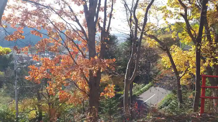 稲荷神社(国富稲荷神社)の自然
