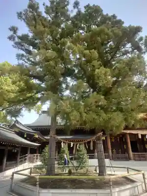 寒川神社(神奈川県)