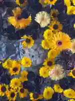 札幌諏訪神社の手水舎