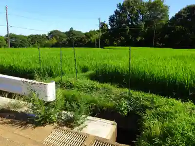 伊勢原 法泉寺の周辺