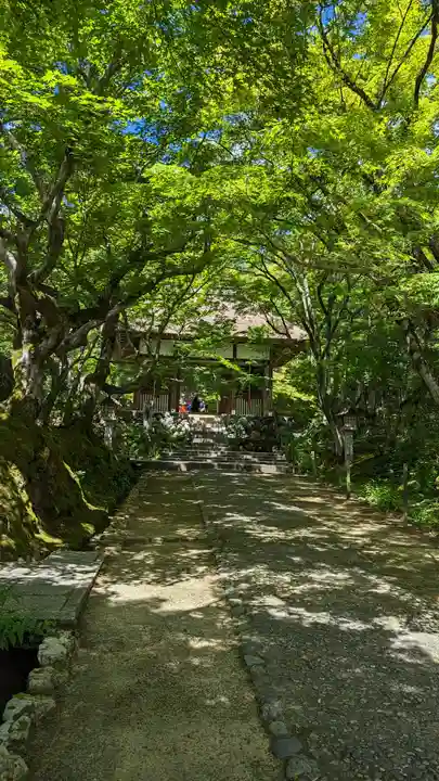 常寂光寺(京都府)