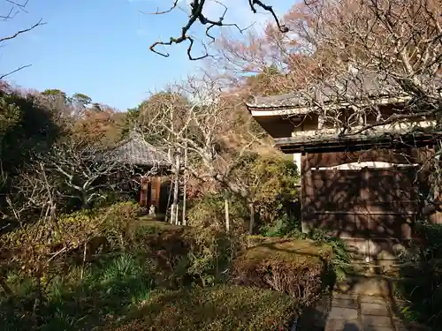 瑞泉寺の庭園