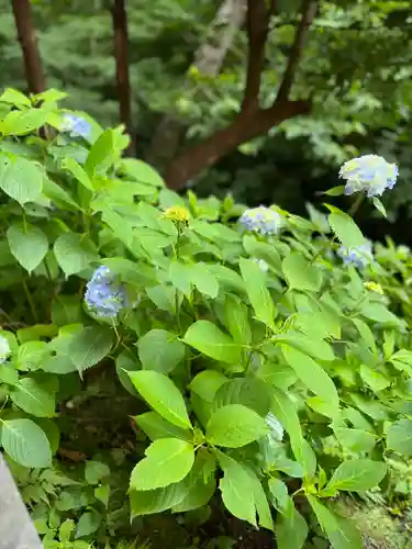 佐助稲荷神社(神奈川県)