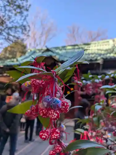 赤坂氷川神社(東京都)