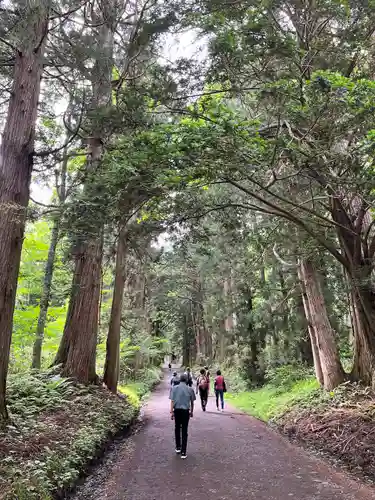 戸隠神社奥社(長野県)