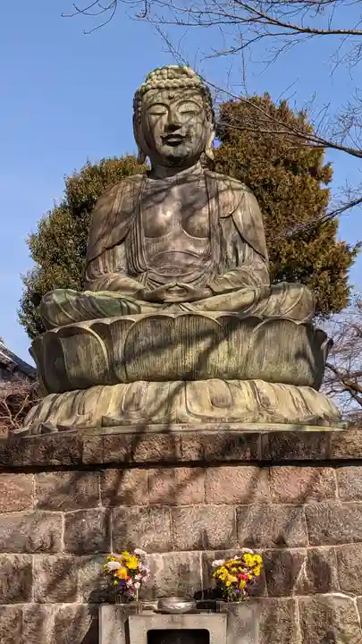 護国寺(東京都)