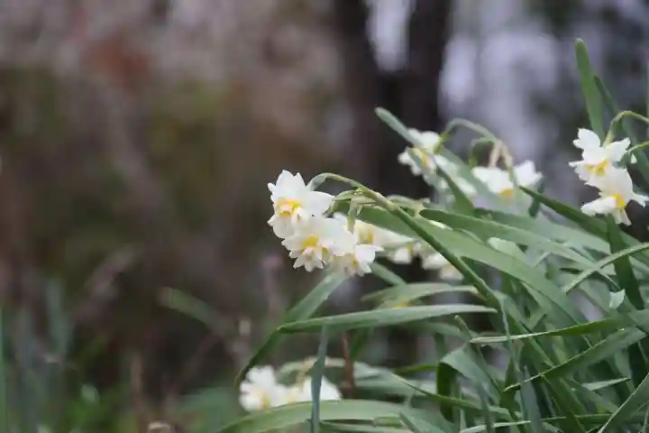 開成山大神宮の庭園