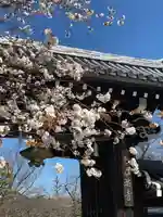 本満寺(本願満足寺)の山門・神門
