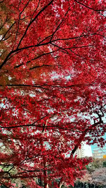 【閉業】小石川大神宮の{uncategorized: "未分類", other: "その他", undefined: "問題あり", building: "その他建物", grave: "お墓", sacred_gate: "鳥居", guardian: "狛犬", statue: "像", buddha: "仏像", history: "歴史", nature: "自然", garden: "庭園", animal: "動物", pagoda: "塔", temizu: "手水舎", mountain_gate: "山門・神門", sanctuary: "本殿・本堂", subordinate: "末社・摂社", art: "芸術", scenery: "景色", jizo: "地蔵", ema: "絵馬", goshuin: "御朱印", omikuji: "おみくじ", items: "授与品その他", amulet: "お守り", goshuincho: "御朱印帳", eats: "食事", festival: "お祭り", votive_dance: "神楽", shichigosan: "七五三参", wedding: "結婚式", experience: "体験その他", initially: "初詣", around: "周辺", anti_infection: "感染症対策"}