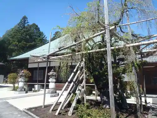 興徳寺(岐阜県)