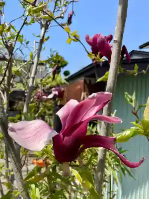 蓮華寺(福島県)
