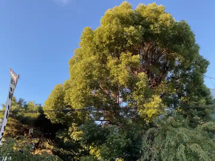 油江天神社(愛知県)
